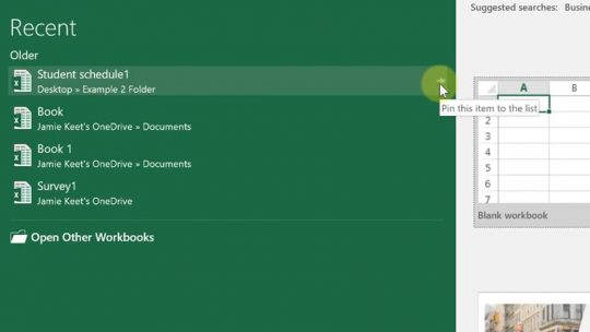 excel1