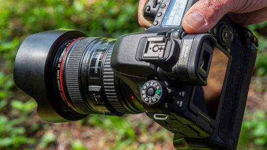 full frame dslr