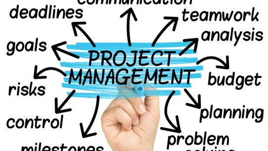 google project management